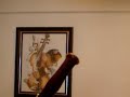 High notes bassoon,fagott,fagot