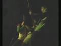 Bar Crawl - Locus Standi