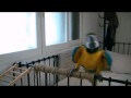 View Video