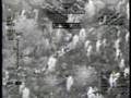 videos de Predator attacks Morter Team