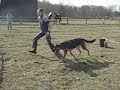 Sigma skacze :) Sigma skacze :)