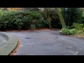Toshiba Camileo P30 walk