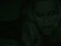 Girl gets possessed?