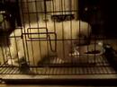 suet-8-of-8-19-oct-07.html