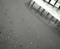 cool wave @ pinamar cool wave @ pinamar