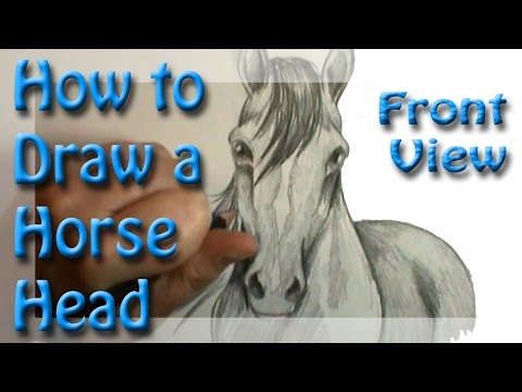 how to draw draw a horse