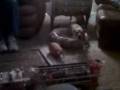 videos de 12-04-08_1746.3gp