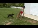 cage-fight-training-jessup-style.html