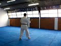 Uechi Ryu - Kanshu - Kata Uechi Ryu - Kanshu - Kata