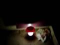 videos de San Saba Haunted House TxState 2008