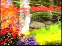 khare sant 1