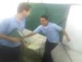 Desastre En La \"C\"
