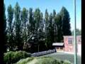 videos de Scuola di polizia mirabilandia 2008