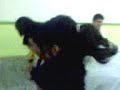 Mayra tarada puebla bachillerato hermanos serdan puebla mex