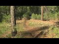 Terry Brinton MTB