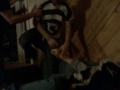 fdgs