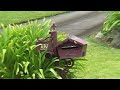Home for Sale - 32 Lindeman Close ELEEBANA