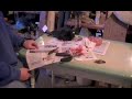 Pheasant Taxidermy Video 5 of 5 Pheasant Taxidermy Video 5 of 5