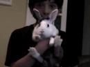 Larry the Bunny