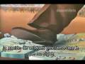 Campos de Concentración  FEMA (Camps) _ Ataúdes (Coffins)