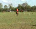 poney games /open elite/ logis du poney 1er mai 2008