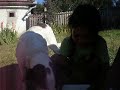 Hondjes ontvlooien