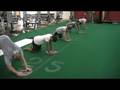 videos de TFW Plate Push with Rotations
