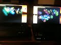 Click here to watch this video Lenovo vs Toshiba
