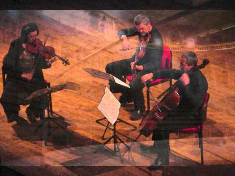 Violoncello - Wolfgang Amadé Mozart, Divertimento KV 563 per violino, viola e violoncello Sonig Tchakerian, violino Danilo Rossi, vola Mario Brunello, violoncello Registra...