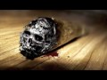 Timur Valiev - The Spoilt Beard
