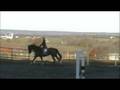 videos de Horsin' Around edited