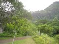 MVI_0161.AVI