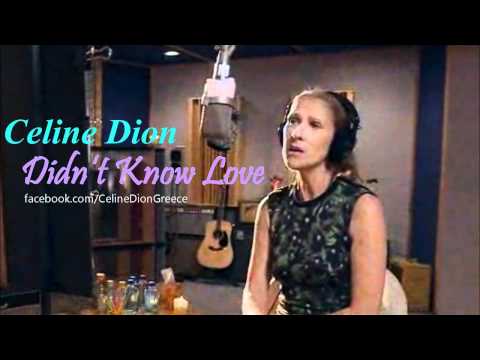 Didn't Know Love Celine Dion