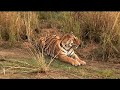 See Video