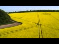 Yarnbury Castle, Hillfort, Wiltshire | 16th May 2010 | Oilseed Rape