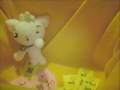 videos de Presentación del Gatito Lovecats
