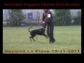 Preview video <strong>Gina di Eddy Bragagnolo</strong>