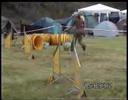agility competition Nocni hratky