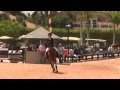 Video of CHELLINI ridden by MADELYN KECK from ShowNet!