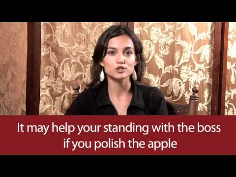 Kliknij aby zobaczyć materiał wideo...