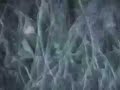 Asbestos- nature killer Asbestos- nature killer