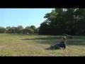 Maveric Prone Launch