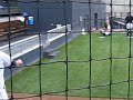 Jake Peavy