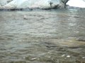 981212 雙龍瀑布 山光水色 .mov