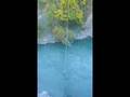 New Zealand -  Bungee Jump at Kawarau Bridge (Gary-san)