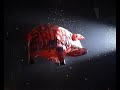 Roger Waters - Sheep