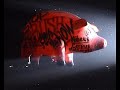 roger waters   sheep