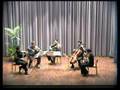 mozart clarinet quintet 1st movement savona 2006