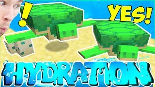 I FINALLY FOUND THE TURTLES! - HYDRATION SMP #3