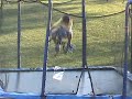 trampoline biking